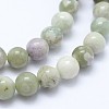 Natural Peace Jade Beads Strands G-I206-20-6mm-3