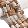 Natural Multi-Moonstone Beads Strands G-H329-A01-02-1