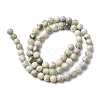 Natural Peace Jade Beads Strands G-E598-04C-3