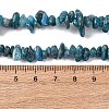 Natural Apatite Beads Strands X-G-F666-01B-02-01-5