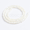 Natural Trochid Shell/Trochus Shell Beads Strands SSHEL-L016-13A-3