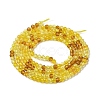 Transparent Glass Beads Strands GLAA-H027-01H-3