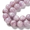 Natural Lepidolite Beads Strands G-H247-11D-2