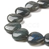 Natural Labradorite Beads Strands G-G996-B11-3
