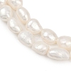 Natural Cultured Freshwater Pearl Beads Strands PEAR-P064-20C-04C-4