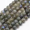 Natural Labradorite Beads Strands G-P322-31-8mm-1