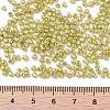 12/0 Glass Seed Beads SEED-A017-2mm-1113-3