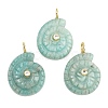 Natural Amazonite Pendants G-H353-02G-08-1