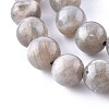 Natural Labradorite Beads Strands G-G212-8mm-23-6