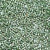 FGB 11/0 Grade A Glass Seed Beads X-SEED-S030-1217-2