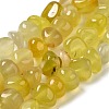 Natural Agate Beads Strands G-H295-B01-04-3