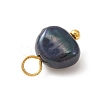 Dyed Natural Cultured Freshwater Pearl Charms PALLOY-JF02133-01-3