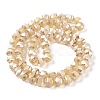 Electroplate Transparent Glass Beads Strands EGLA-I018-AB04-2
