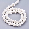 Natural Sea Shell Beads Strands BSHE-K012-08E-2