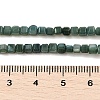 Natural Freshwater Shell Dyed Beads Strands SHEL-R100-11A-05-4