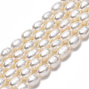 Natural Cultured Freshwater Pearl Beads Strands PEAR-N012-04D-3