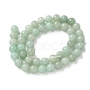 Natural Green Aventurine Beads Strands LS-G-F591-16-5