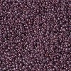 MIYUKI Round Rocailles Beads X-SEED-G007-RR2448-3