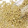 8/0 Glass Seed Beads SEED-A017-3mm-1115-1