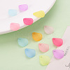 Transparent Frosted Acrylic Pendants X-MACR-S371-09A-6