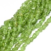 Natural Peridot Beads Strands X-G-D0004-A02-03-4