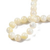 Natural White Shell Bead Strands SSHEL-N003-144H-01-4