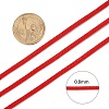 Braided Nylon Thread NWIR-R006-0.8mm-700-4