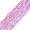 Natural Freshwater Shell Dyed Beads Strands SHEL-M018-12-08-1