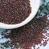 MIYUKI Round Rocailles Beads SEED-X0054-RR2461-1