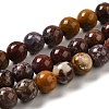 Natural Ocean Jasper Beads Strands G-H298-A13-03-1
