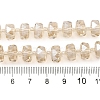 Transparent Electroplate Glass Beads Strands EGLA-P062-01A-PL03-4