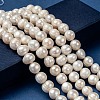 Natural Cultured Freshwater Pearl Beads Strands X-PEAR-L001-G-14-4