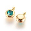 304 Stainless Steel Rhinestone Charms STAS-P237-10G-12-2