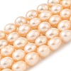 Natural Cultured Freshwater Pearl Beads Strands PEAR-I007-01F-07B-2