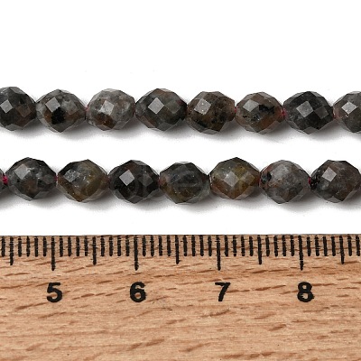 Natural Syenite Beads Strands G-K376-F09-01-1