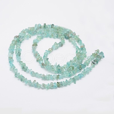 Chips Natural Apatite Beads Strands G-N0164-44-1