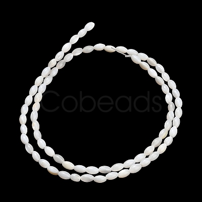Natural Freshwater Shell Beads Strands SHEL-C010-03B-1