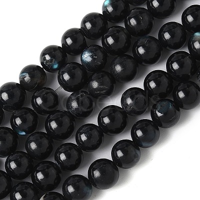 Natural Black Lip Shell Beads Strands SSHEL-C013-01A-1