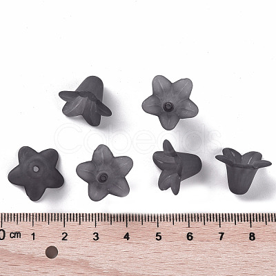Transparent Acrylic Beads PLF018-17-1