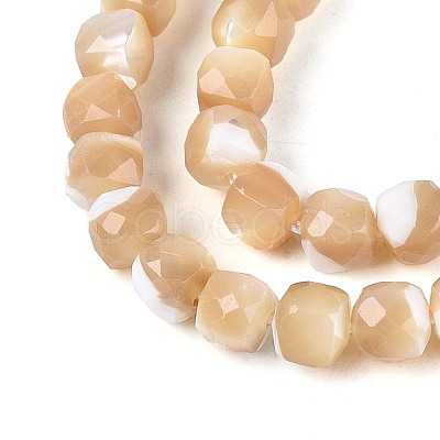 Natural Trochid Shell/Trochus Shell Beads Strands BSHE-T014-53-1