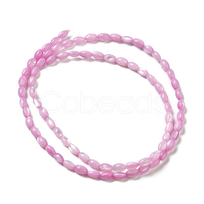 Natural Trochus Shell Beads Strands X-SHEL-K006-19A-1