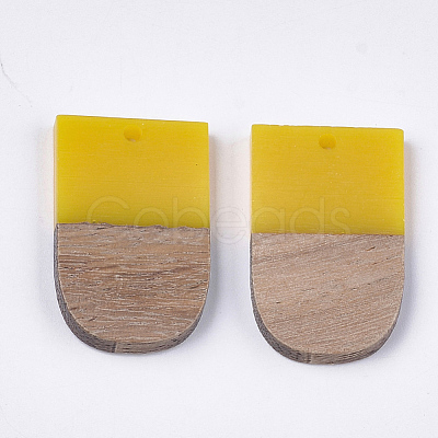 Resin & Walnut Wood Pendants X-RESI-S358-34G-1