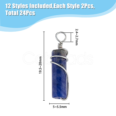 SUPERFINDINGS 24Pcs 12 Style Natural Gemstone Pendants FIND-FH0006-41-1