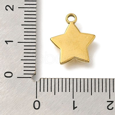 Ocean Theme 304 Stainless Steel Pendants STAS-Z092-06G-07-1