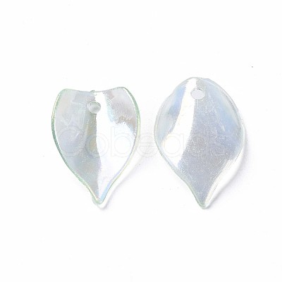 Transparent Acrylic Beads MACR-S373-103-C04-1