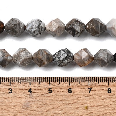 Natural Fossil Coral Beads Strands G-Z119-A26-03-1