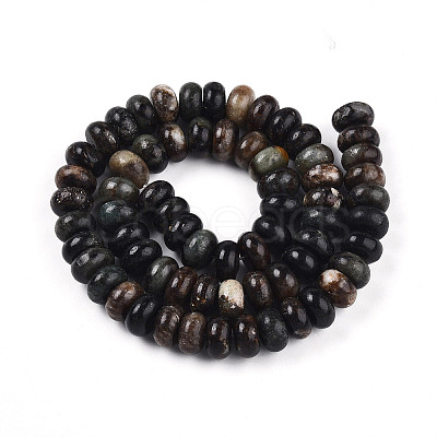 Natural Biotite Beads Strands G-T140-69A-1