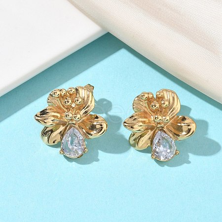 Valentine's Day 304 Stainless Steel Cubic Zirconia Stud Earrings for Women EJEW-F411-01G-02-1