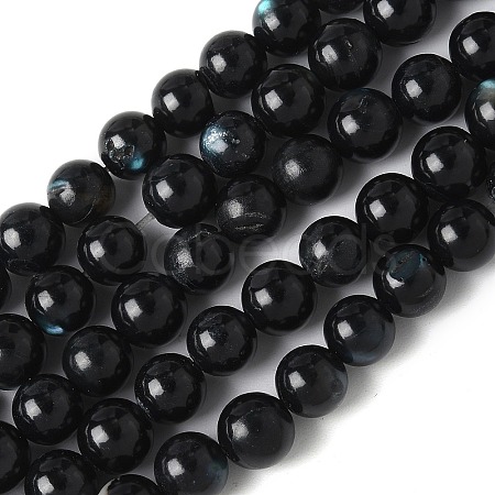 Natural Black Lip Shell Beads Strands SSHEL-C013-01A-1
