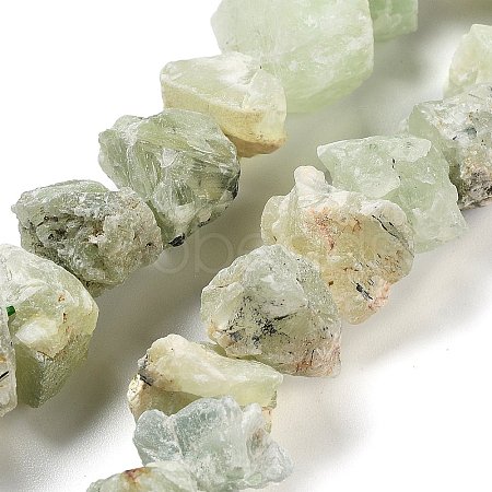 Raw Rough Natural Prehnite Beads Strands G-P528-A05-01-1